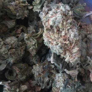 Meet your Posher, Kevan